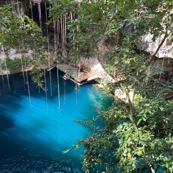 A natural pool surrounded by trees and a wooden bridge. 1