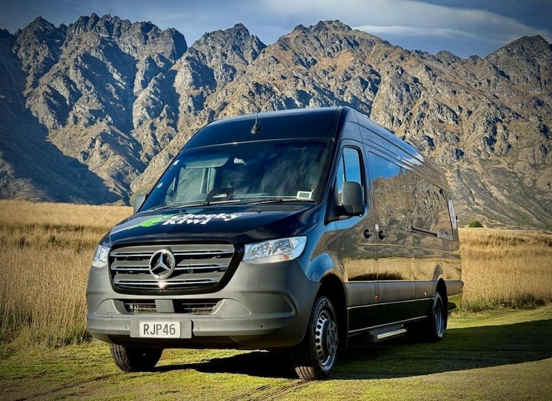 A Mercedes Sprinter van with 'Stecky Kiwi' branding parked in a field with mountains in the background. 4