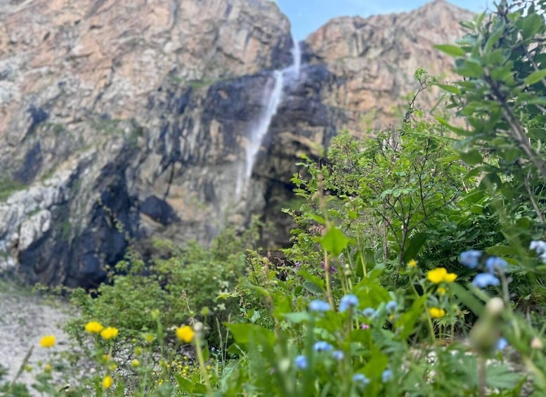A waterfall cascading down a rocky cliff surrounded by lush greenery and wildflowers. 5