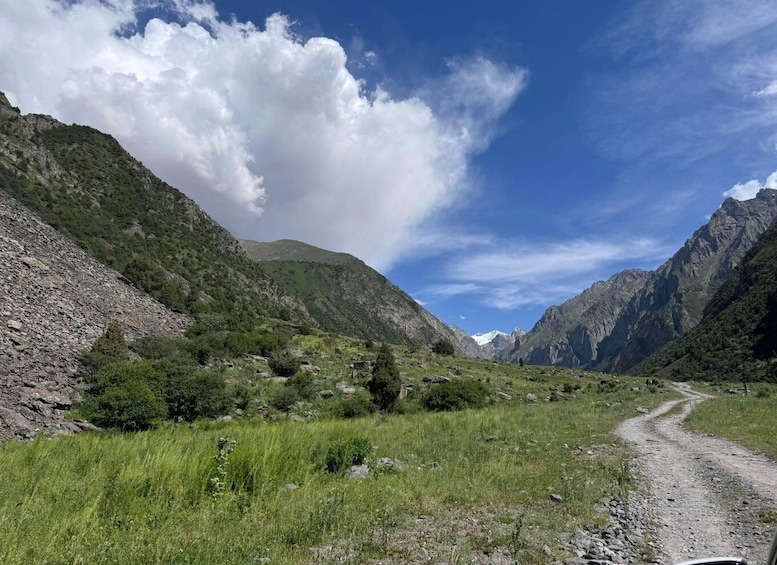 A mountain landscape with a dirt path, rocky terrain, and green vegetation. 4