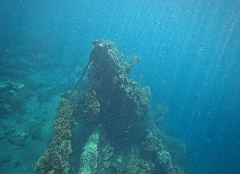 An underwater wreck surrounded by marine life. 2