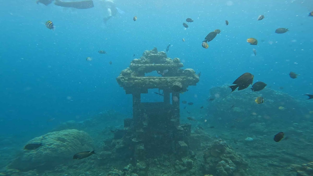 Picture 13 for Activity Amed Bali Snorkeling: Explore 3 Spots by Traditional Jukung 5