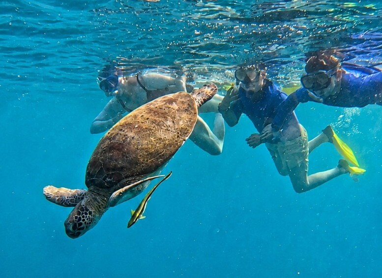 Picture 2 for Activity Amed Bali Snorkeling: Explore 3 Spots by Traditional Jukung 2