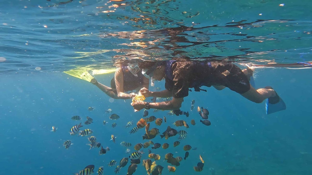 Picture 14 for Activity Amed Bali Snorkeling: Explore 3 Spots by Traditional Jukung 2