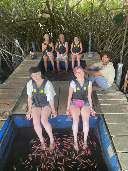 People sitting on a dock surrounded by mangrove trees. 3