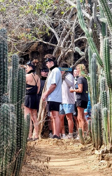A group of people standing on a dirt path surrounded by cacti. 3