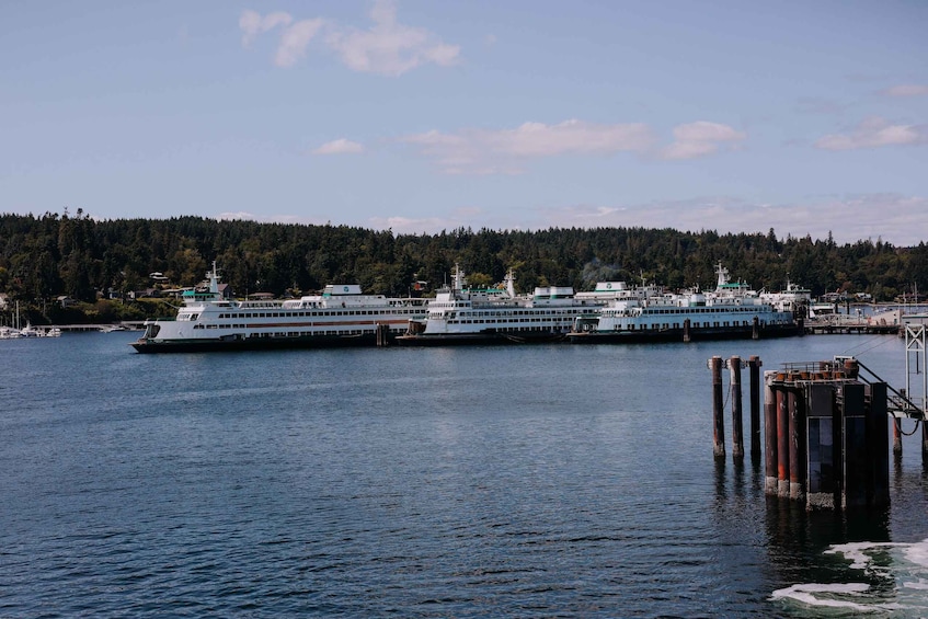 A ferry docked at a pier with a forested hill in the background. 4