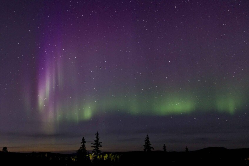 A night sky with stars and the aurora borealis. 2