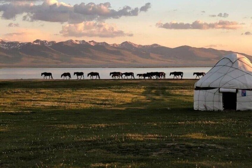 Kyrgyzstan, Song Kul Lake as Nomad Horseback Riding and Yurt Stay 1