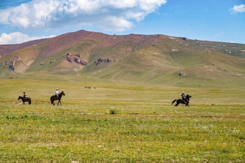A vast open field with horses and riders, a mountain range in the background, and a clear sky. 2