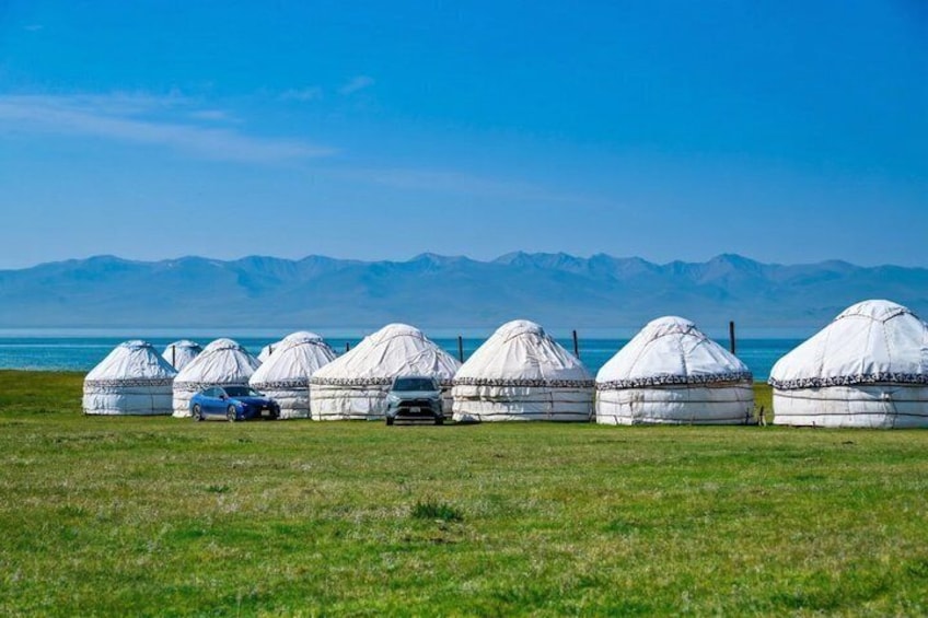 Yurts in a grassy field with mountains in the background. 4