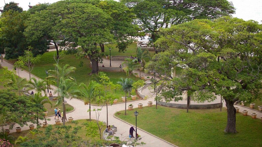 A park with walking paths, trees, and people. 2