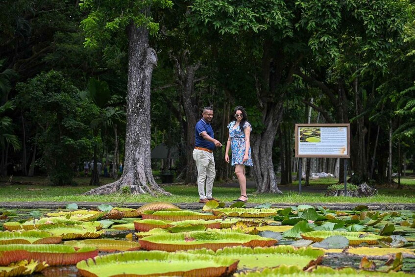 Two people standing by a pond with lily pads and a signboard in a forested area. 3