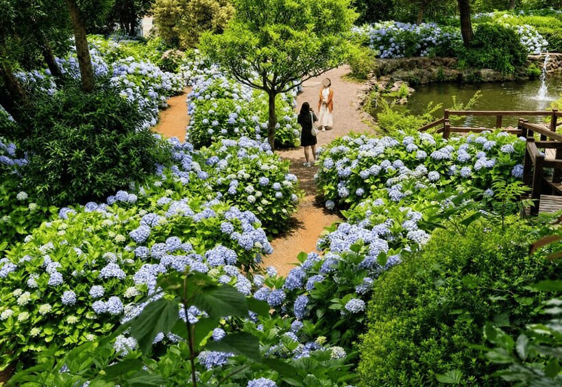 Picture 11 for Activity Jeju: UNESCO-Listed Southern Authentic Day Tour 5
