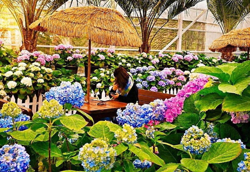 Picture 12 for Activity Jeju: UNESCO-Listed Southern Authentic Day Tour 2