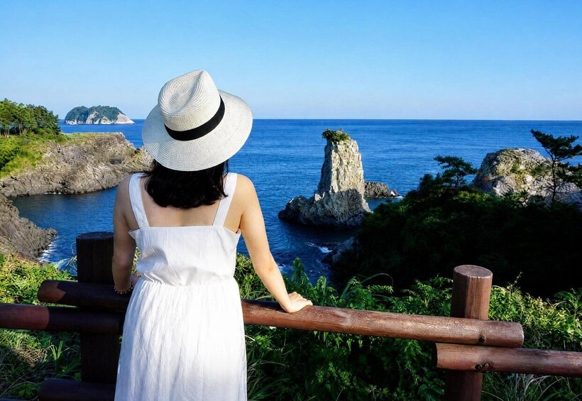 Picture 7 for Activity Jeju: UNESCO-Listed Southern Authentic Day Tour 2