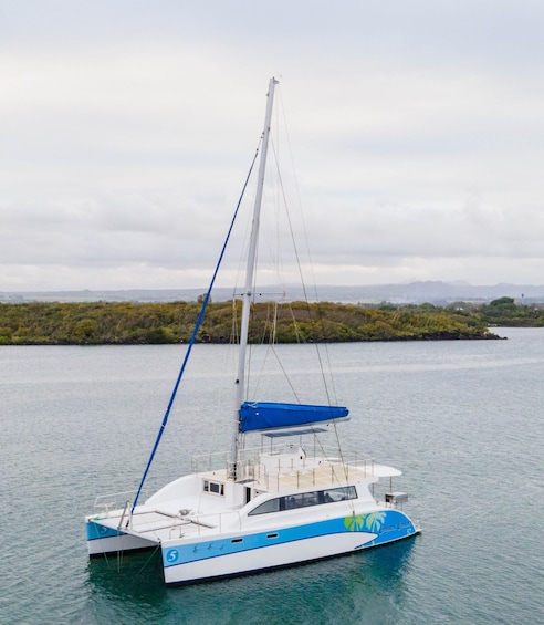 A sailboat with a blue and white hull on calm water. 3