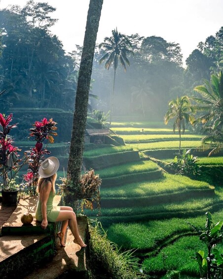 A person sitting on a stone ledge overlooking terraced rice fields with palm trees and tropical plants. 3
