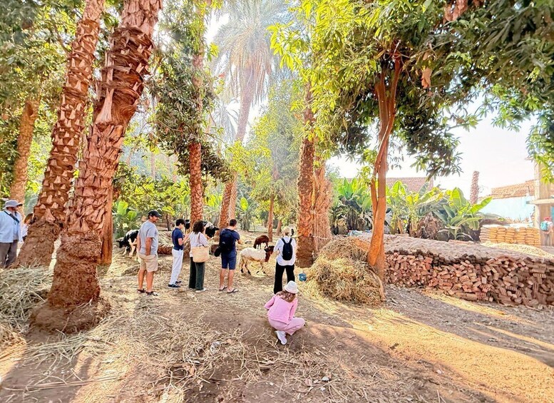 A group of people observing animals in a rural setting with trees and stacks of bricks. 2