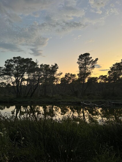 Picture 17 for Activity From Golem & Durrës: Offroad 4x4 & Karavasta Lagoon Day Tour 2