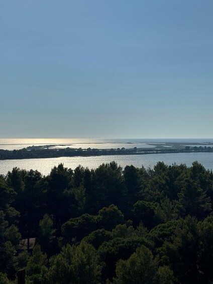 Picture 15 for Activity From Golem & Durrës: Offroad 4x4 & Karavasta Lagoon Day Tour 3