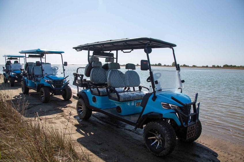 Three blue golf carts parked by a calm body of water. 1