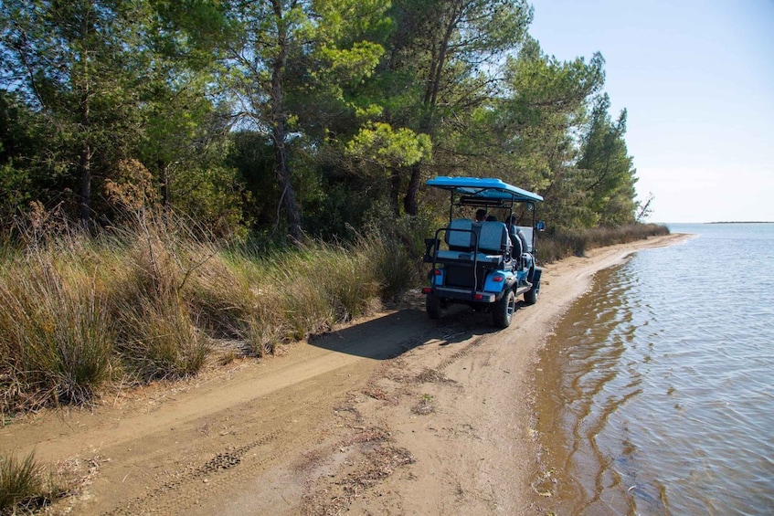 Picture 10 for Activity Golem/Durres/Tirana: 4x4 Ride in Karavasta Lagoon Day Tour 3