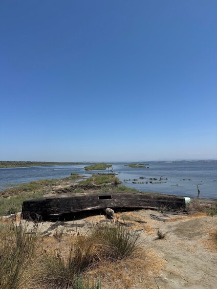 Picture 18 for Activity Offroad 4x4, & Karavasta Lagoon Day Tour from Durres & Golem 2