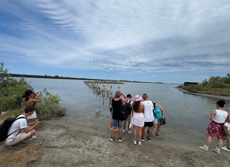 Picture 17 for Activity Offroad 4x4, & Karavasta Lagoon Day Tour from Durres & Golem 4