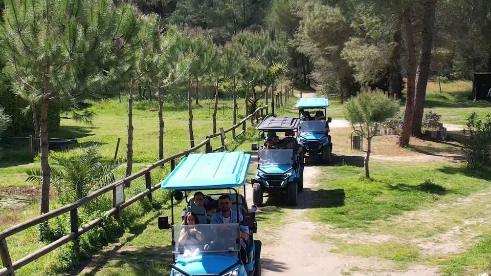 Picture 11 for Activity Golem/Durres/Tirana: 4x4 Ride in Karavasta Lagoon Day Tour 4