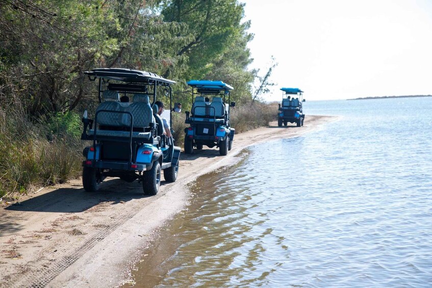 Three blue golf carts parked on a sandy path beside a body of water. 1