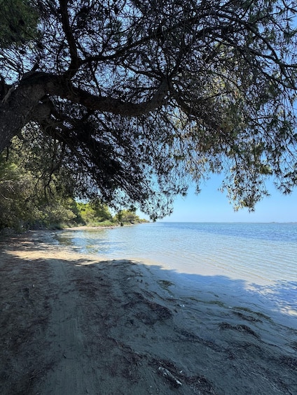 Picture 19 for Activity Offroad 4x4, & Karavasta Lagoon Day Tour from Durres & Golem 3