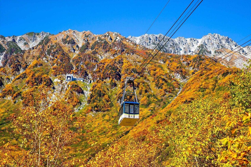 Picture 13 for Activity Kurobe Tateyama snow wall & Kamikochi 2day tour | Nagoya 2