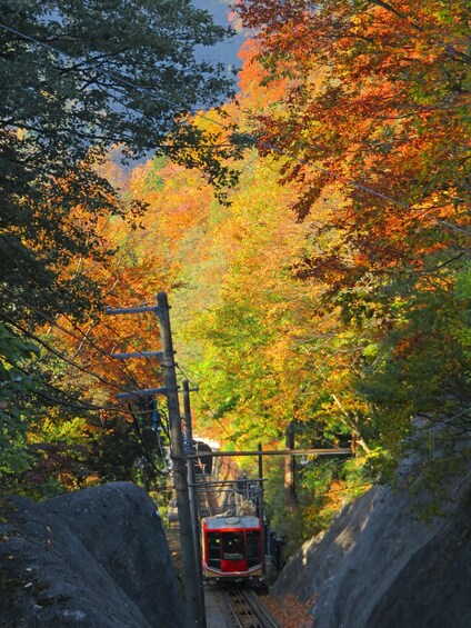 Picture 5 for Activity Tateyama Kurobe Alpine Route & Kamikochi 2day tour | Nagoya 3