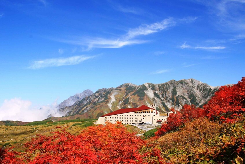 Picture 4 for Activity Tateyama Kurobe Alpine Route & Kamikochi 2day tour | Nagoya 5