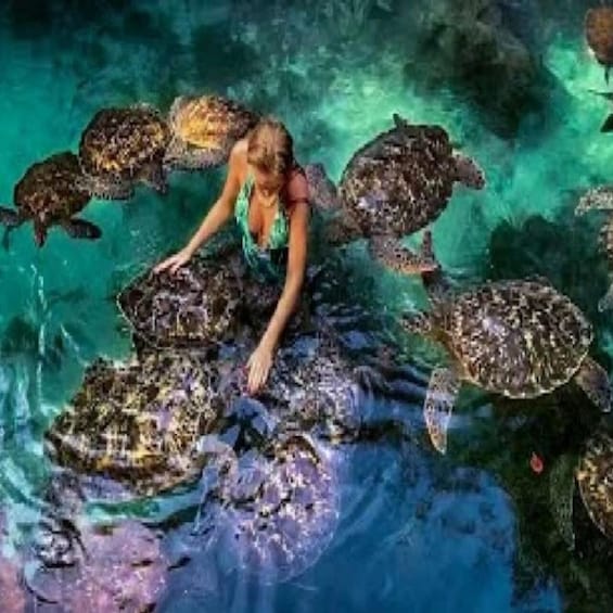 Picture 9 for Activity Zanzibar: Salaam Cave and Turtle Swimming Tour 5