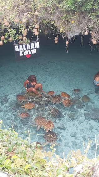 Zanzibar: Salaam Cave and Turtle Swimming Tour 1