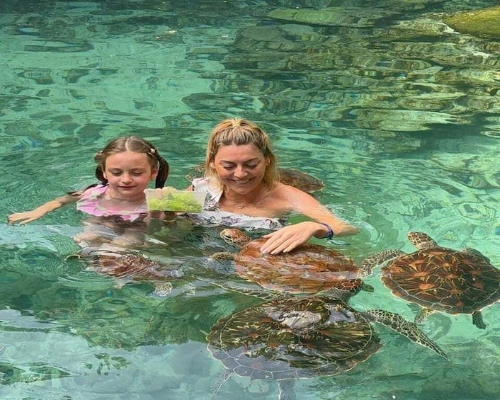 Picture 4 for Activity Zanzibar: Salaam Cave and Turtle Swimming Tour 2