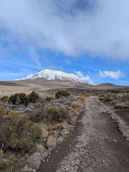 Picture 3 for Activity Kilimanjaro Day Hike via Machame Route 1