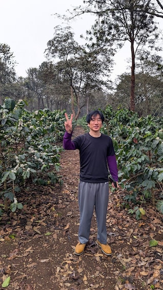 A person standing in a forested area with coffee plants. 2
