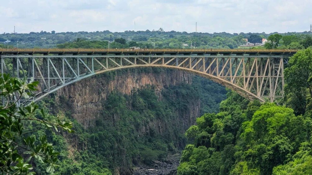 A steel bridge spanning a deep gorge with dense forest on either side. 5