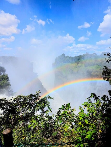 A waterfall with a rainbow, surrounded by lush greenery. 2