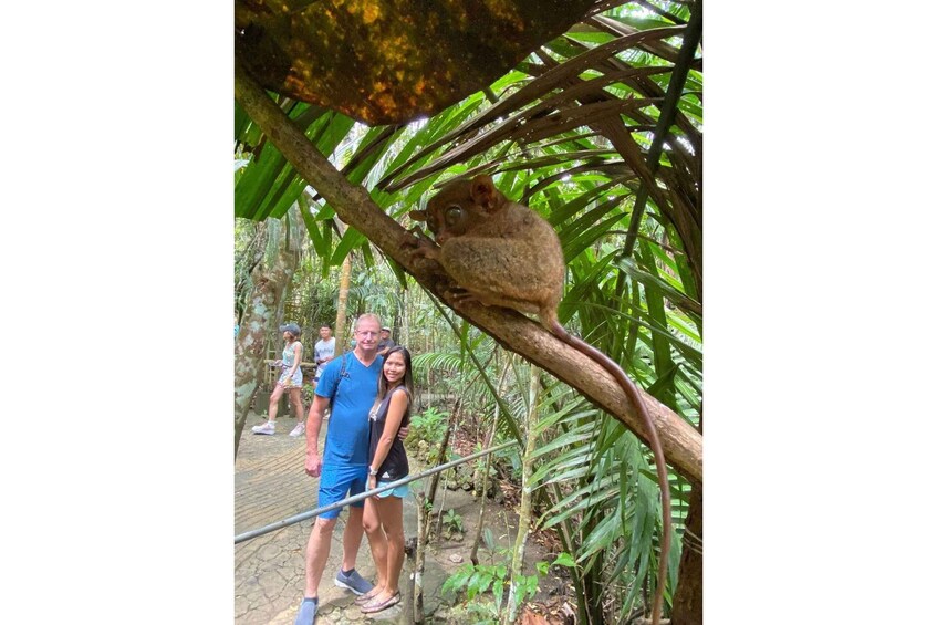 A person in blue clothing standing on a bridge with a tree branch overhead. 5