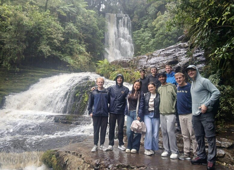 A group of people standing in front of a waterfall in a forested area. 2