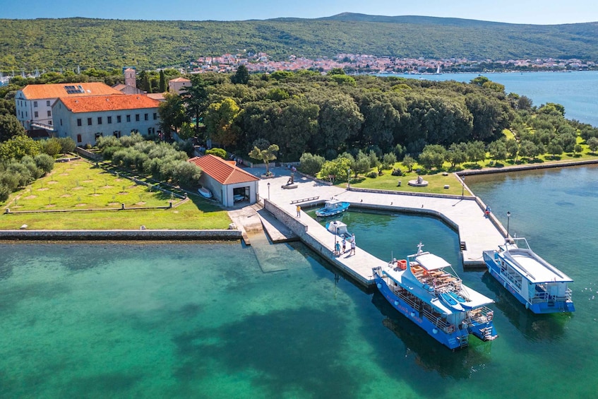 A waterfront with a pier, boats, a large building, and a forested hill in the background. 3