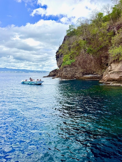 Picture 5 for Activity Martinique: Dolphin Watching and Snorkeling 3