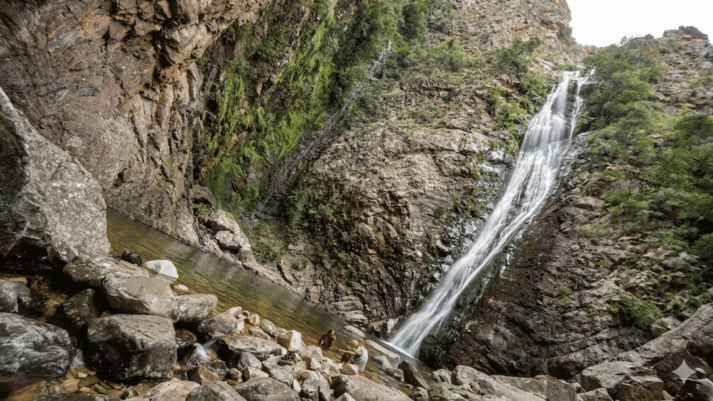 A waterfall cascading down a rocky cliff surrounded by greenery. 4