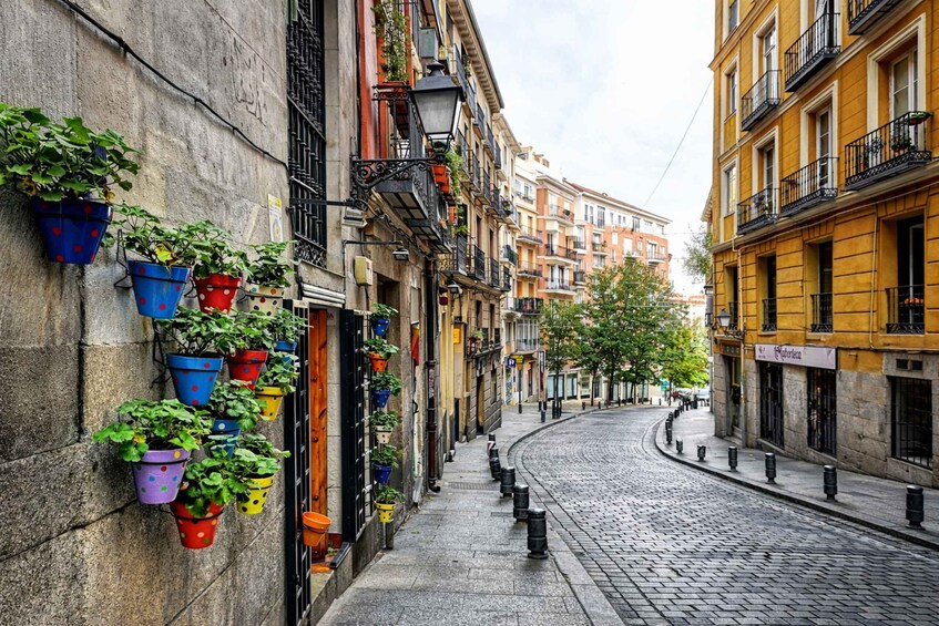 A cobblestone street lined with colorful potted plants and historic buildings. 2
