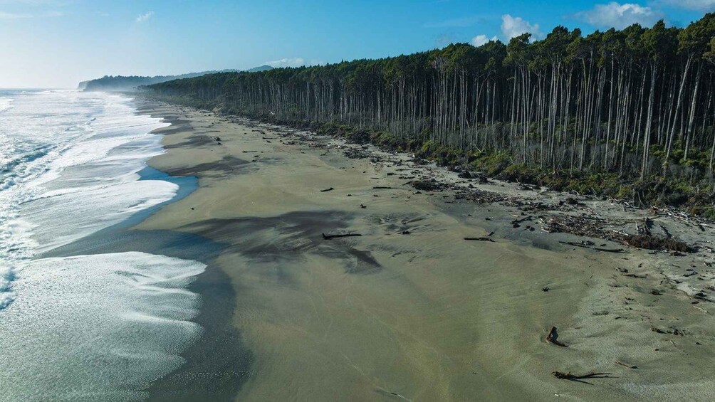 A beach with waves, a forest, and a clear sky. 5