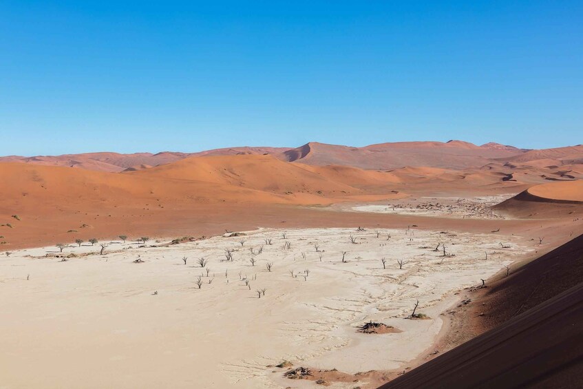 A desert landscape with rolling sand dunes and sparse vegetation. 1